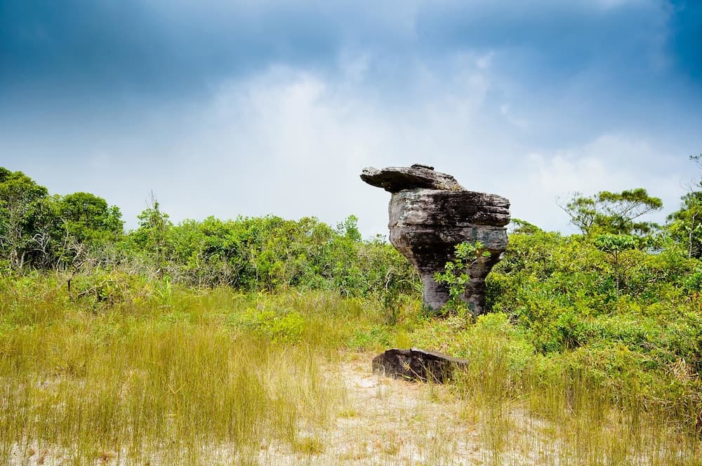 Açık havada kaya tırmanışı