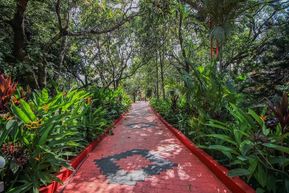 Konaklama yeri alanı