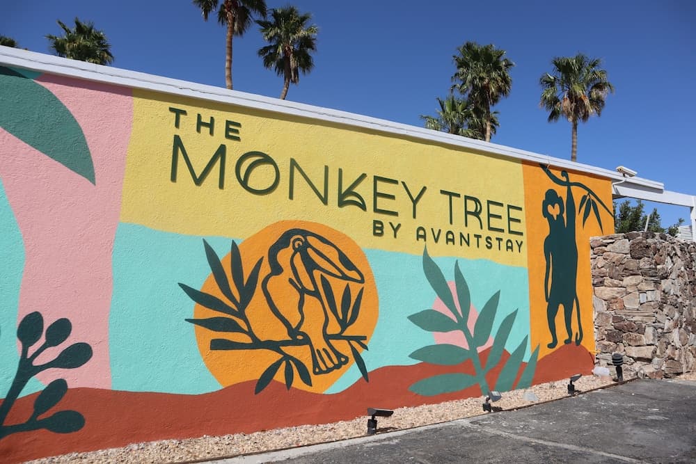The Monkey Tree by AvantStay – Mid-Century Modern Oasis with Pool