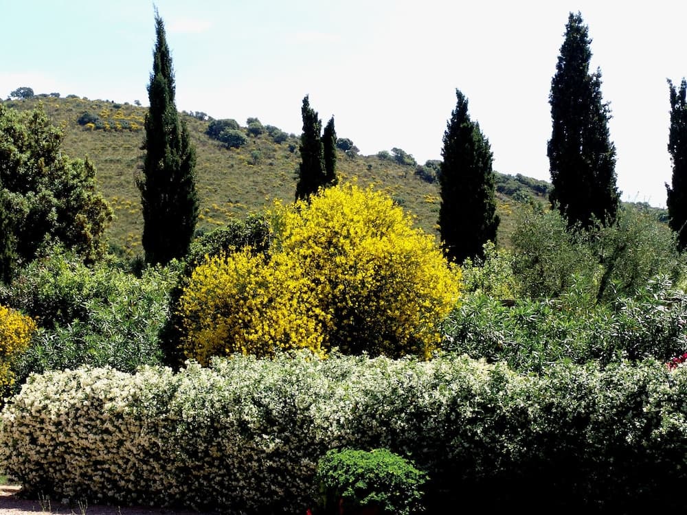 Agriturismo Fattoria Il Casalone