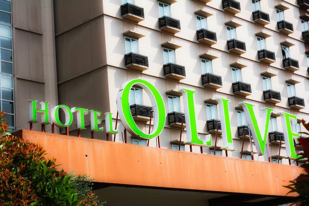 Hotel Olive