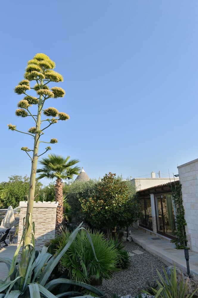 Konaklama yeri alanı