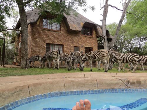 Rafiki's Resthouse