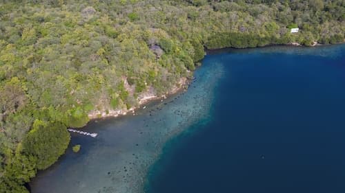 Menjangan Ecolodge