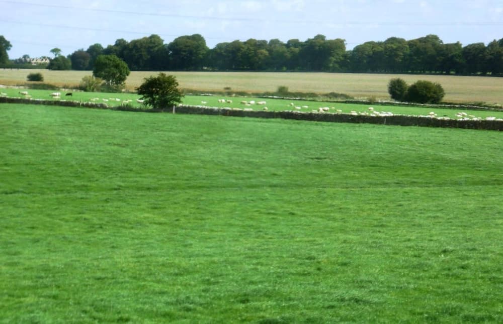 Konaklama yeri alanı