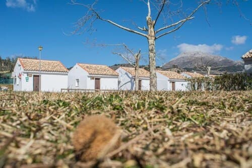 Camping Sierra de las Nieves