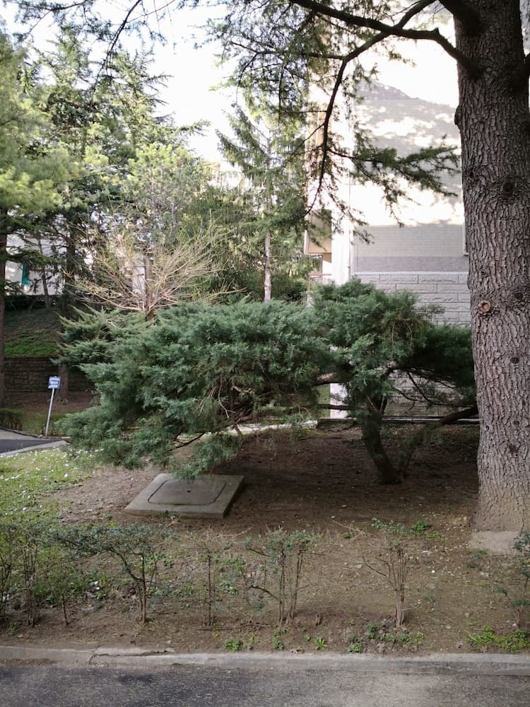 B&B da Thais un piacevole relax