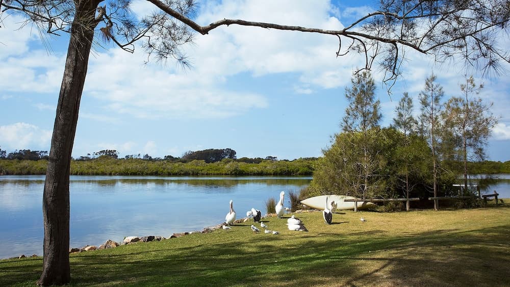 Stuarts Point Holiday Park