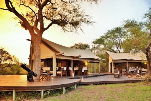 Rhino Walking Safaris