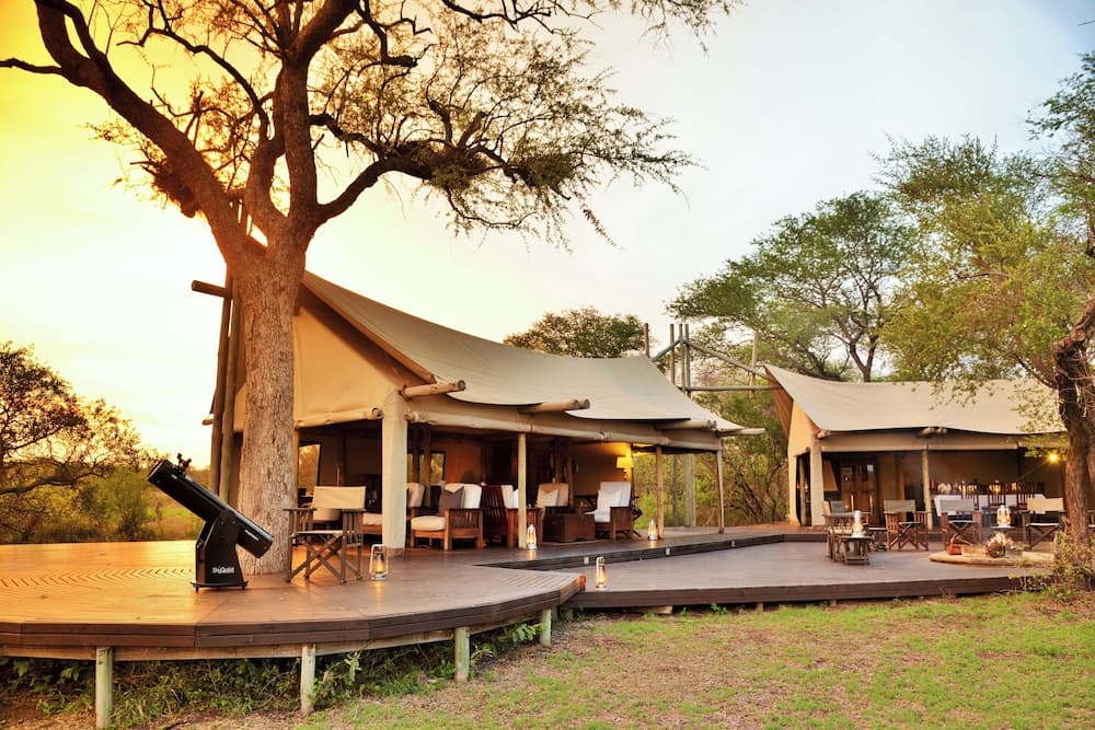 Rhino Walking Safaris