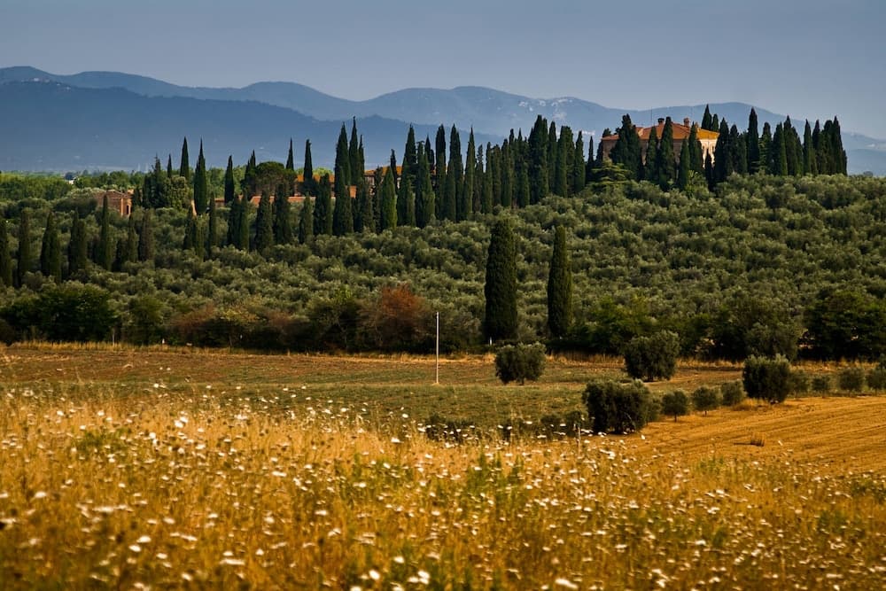 Tenuta di Poggio Cavallo