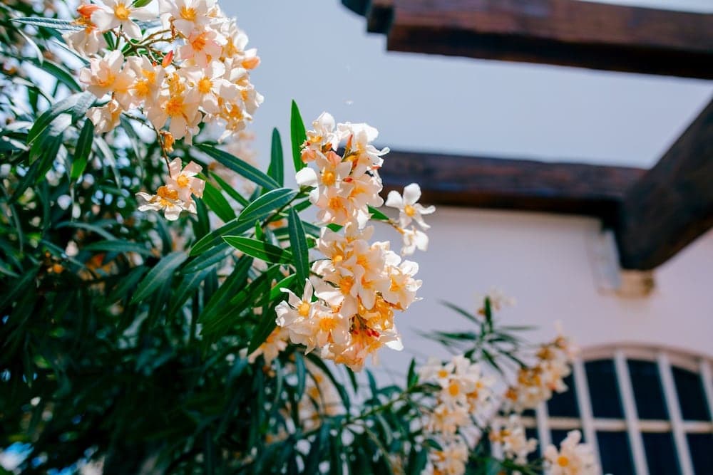 Dış mekân detayı