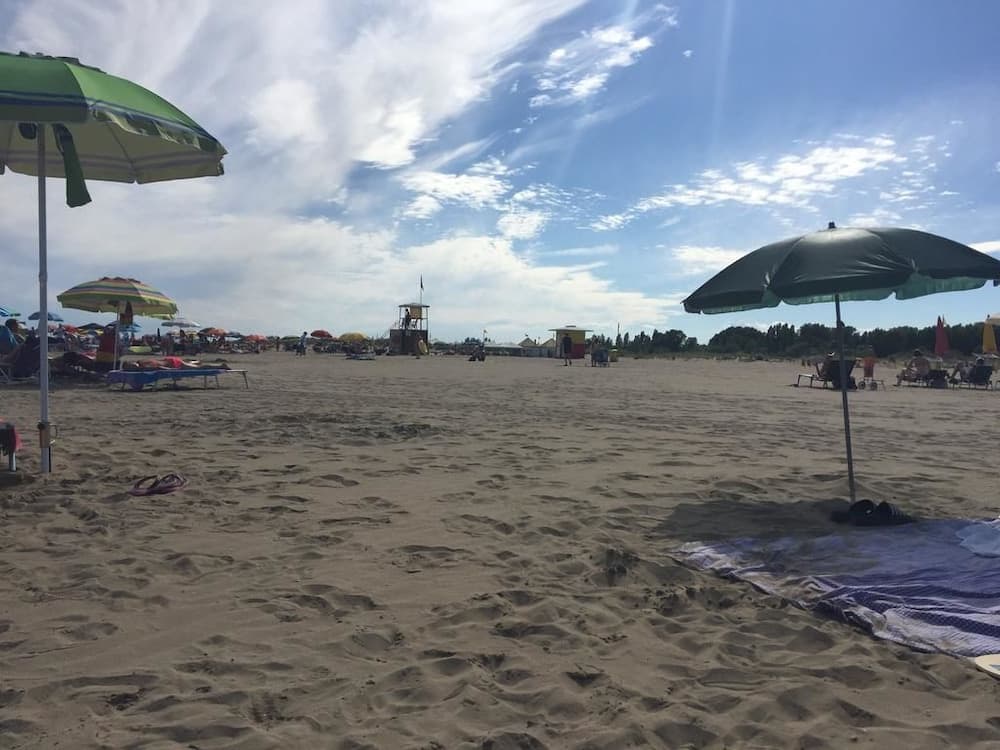 Konaklama yerinden manzara