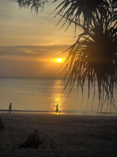 The Last Paradise