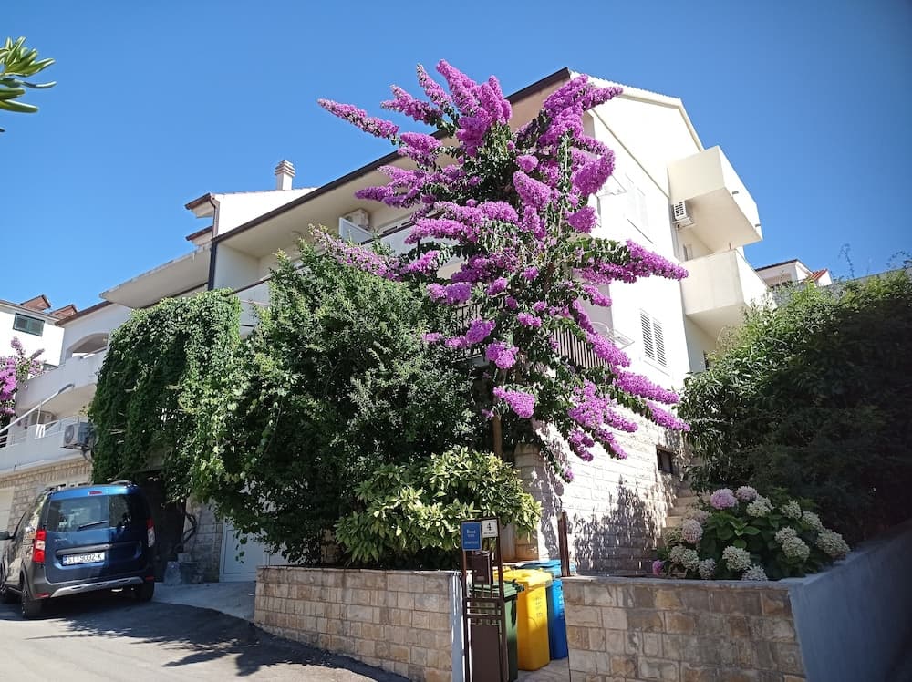 Apartments and Rooms Zvjezdana