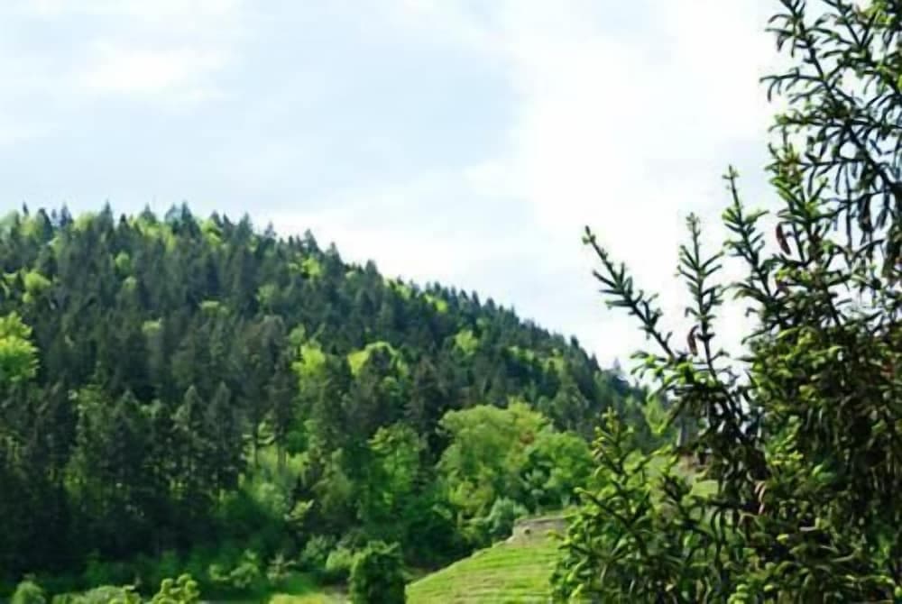 Konaklama yeri alanı