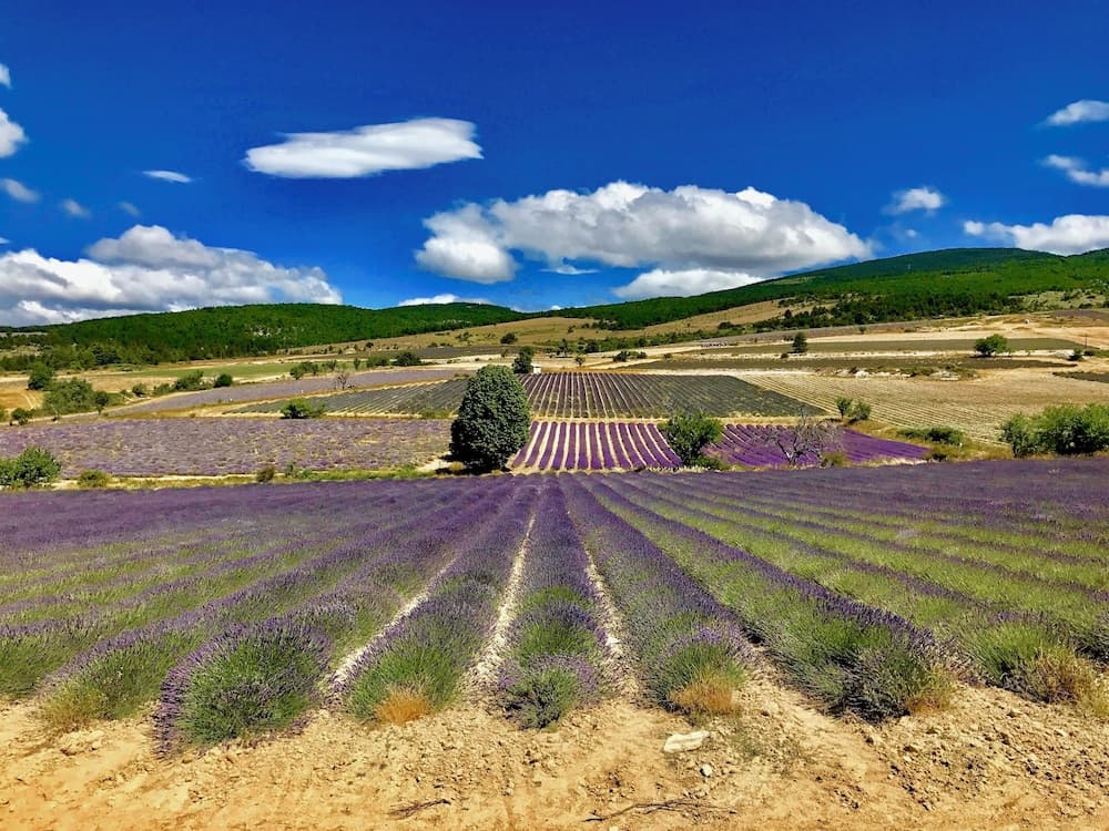 Résidence Château Ferrassières