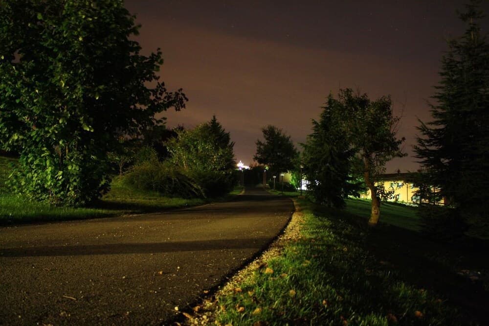 Konaklama yerinden manzara