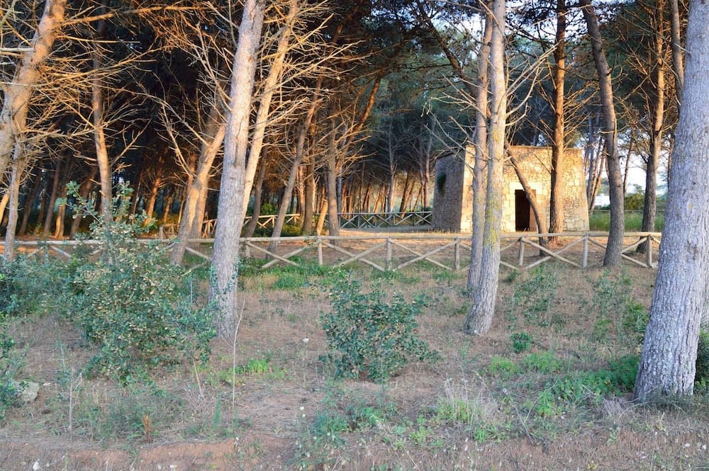 Konaklama yeri alanı