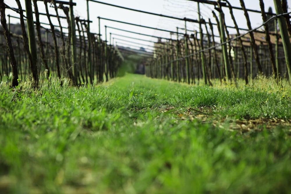 Konaklama yeri alanı
