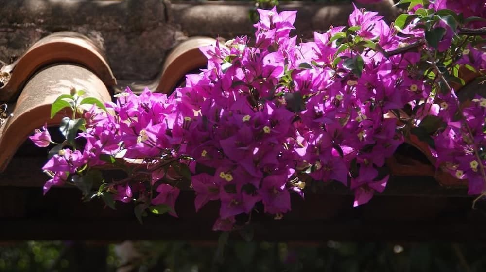 Dış mekân detayı