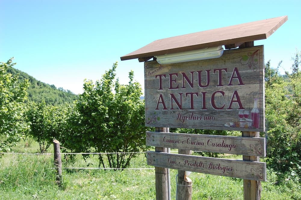 Agriturismo Tenuta Antica