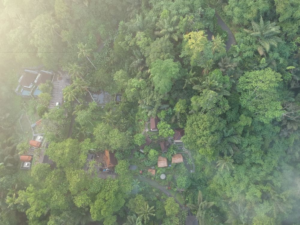 Bali Jungle Huts