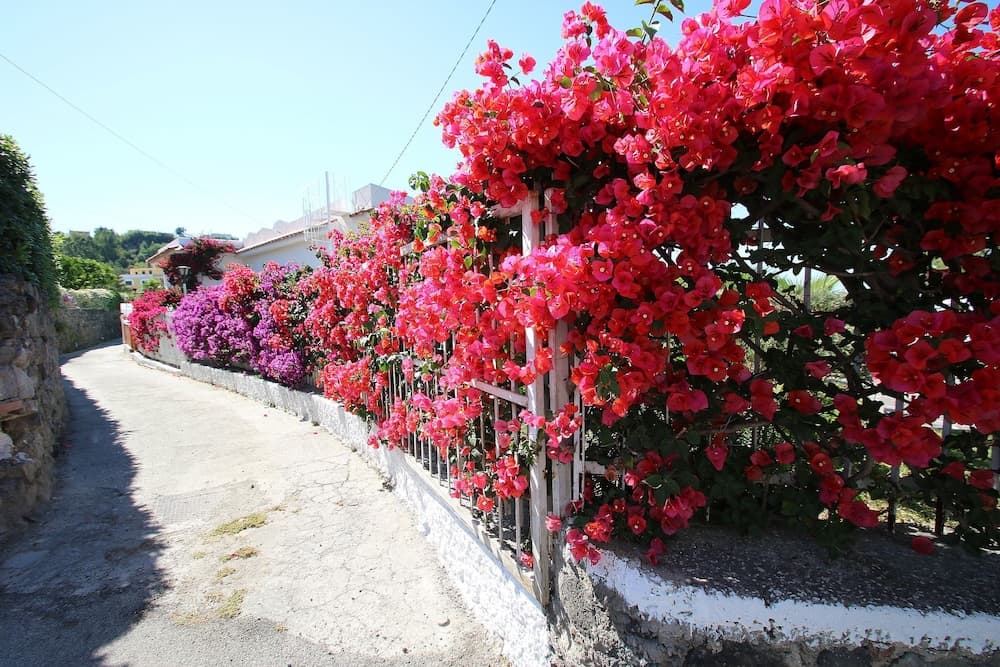 Dış mekân detayı