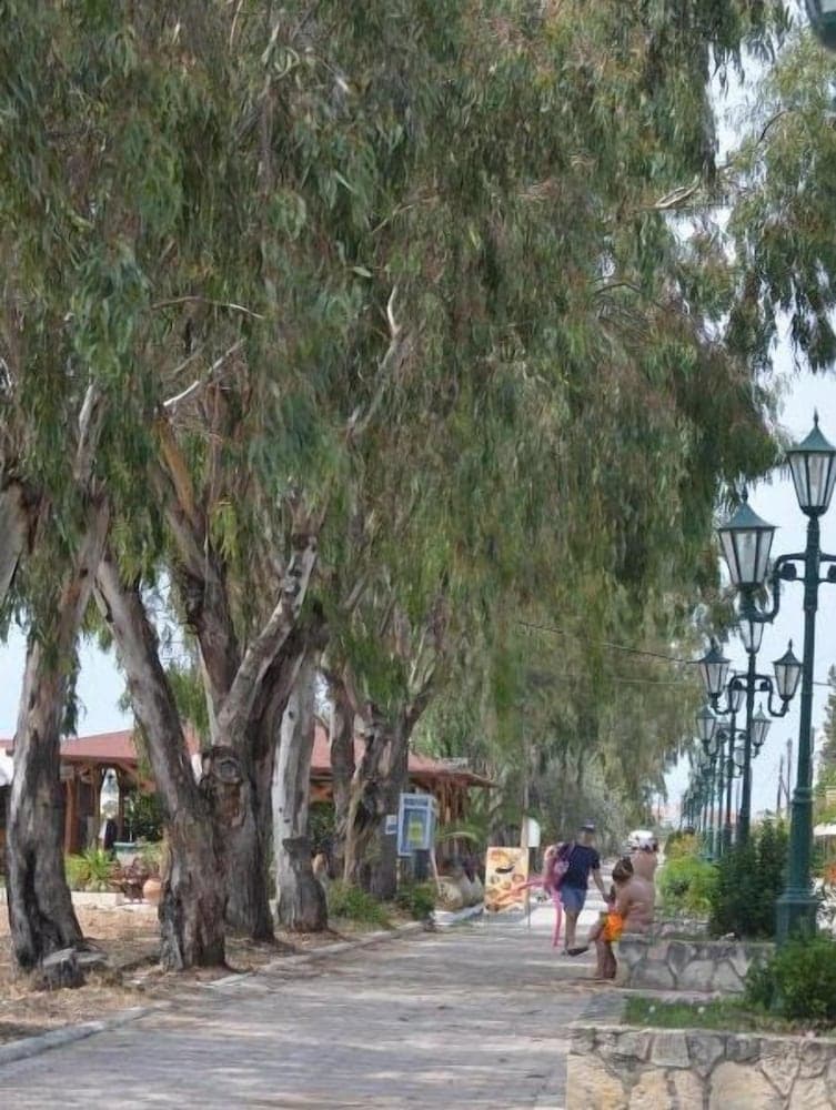 Konaklama yeri alanı