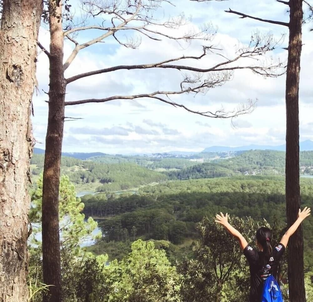 All Aboard Hostel & Cafe