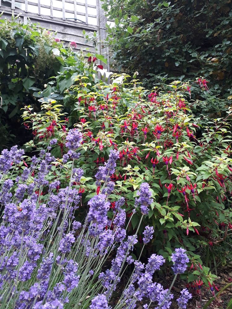 Dış mekân detayı