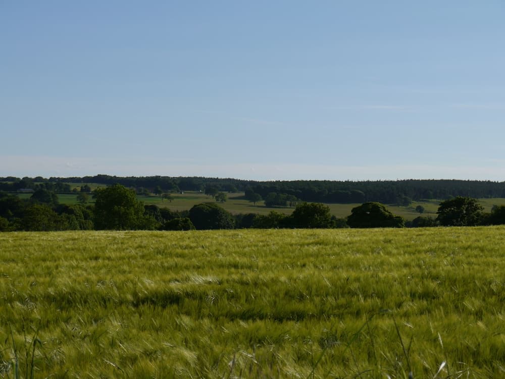 Çocuklar için oyun alanı - dış mekân