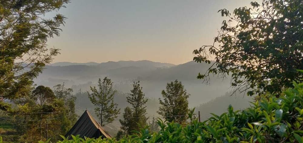 Janardan Tea Resort - Campsite