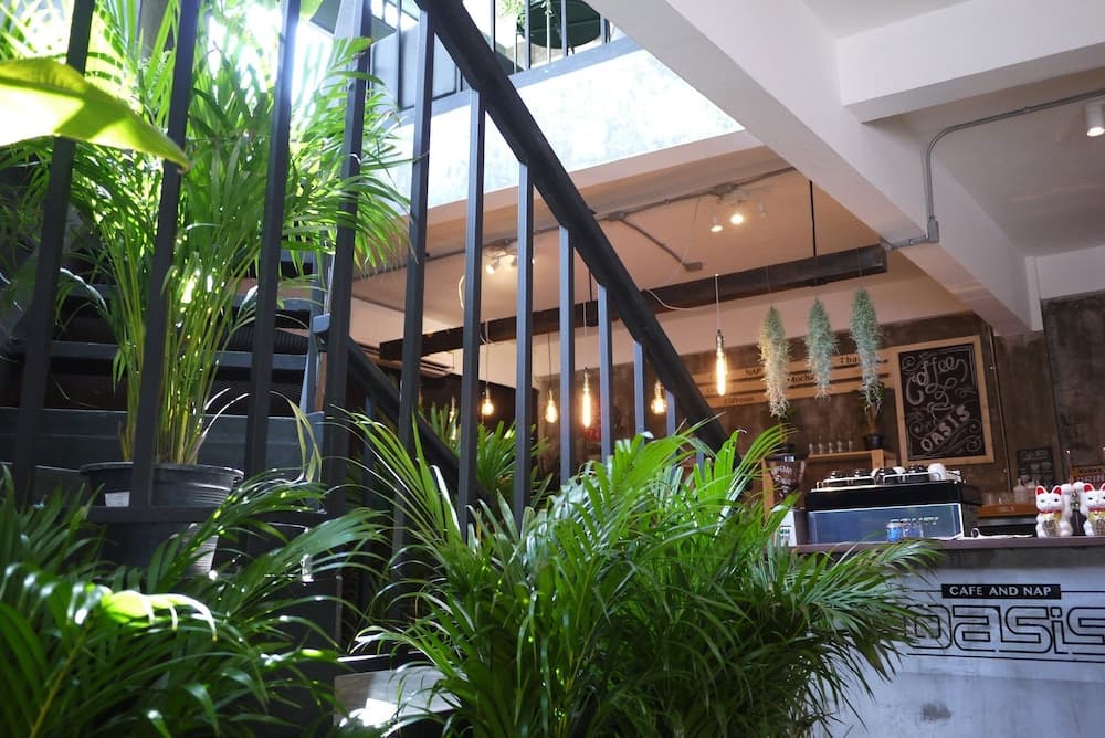 OasisCafe&Nap - Hostel