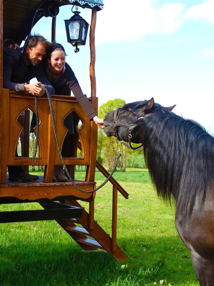 Une roulotte et des chevaux