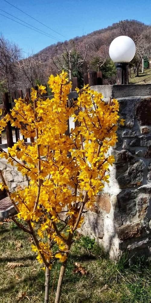 Konaklama yeri alanı