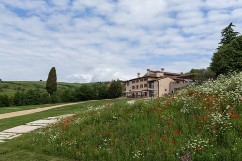 Ca' del Moro Wine Retreat