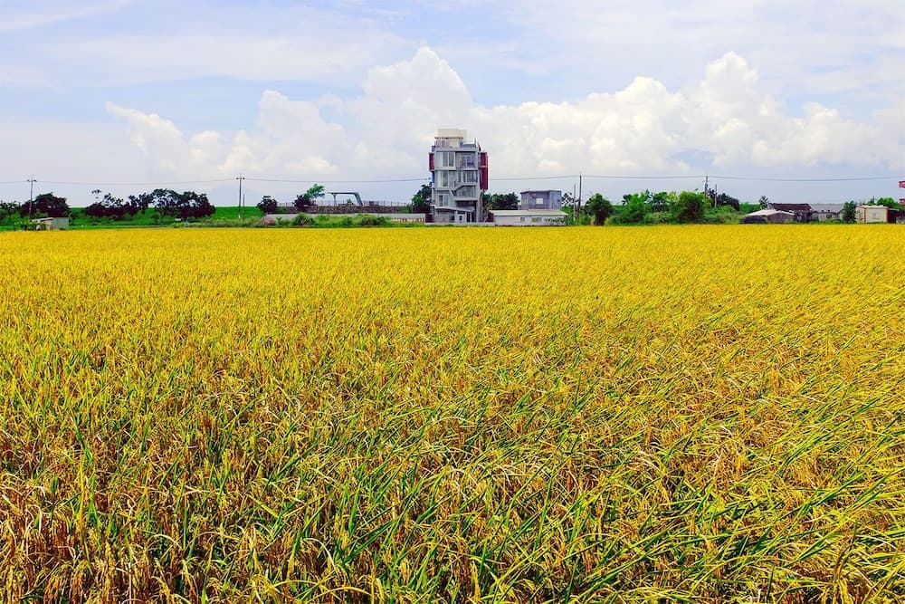 Wudai Homestay