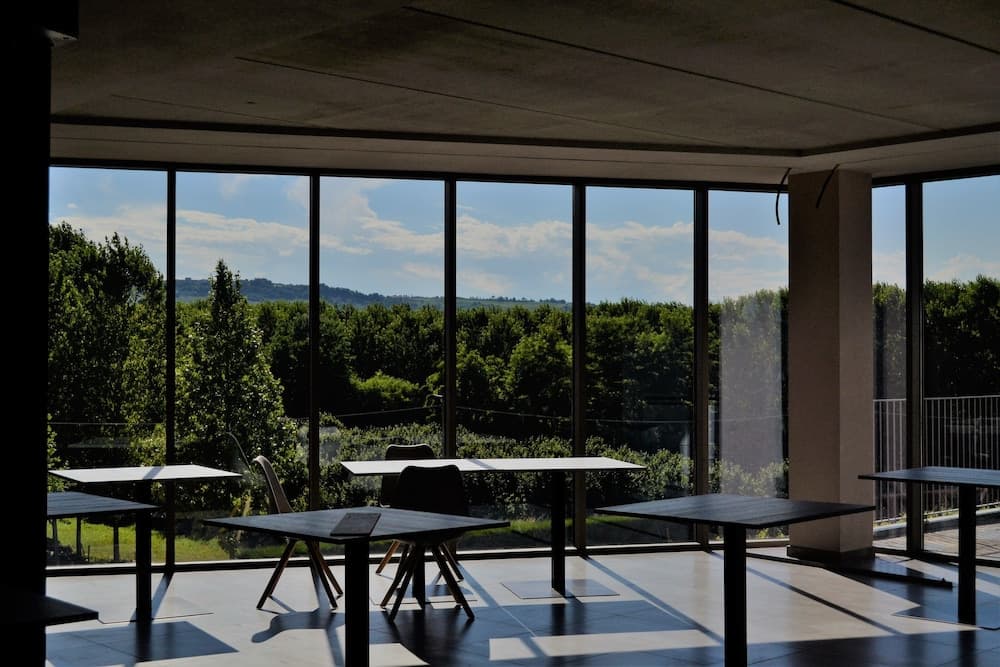 Agriturismo Vitae di Langa