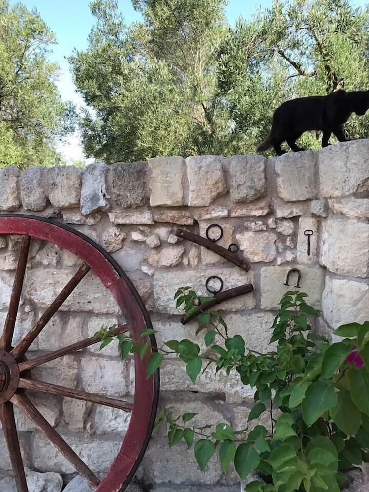 Dış mekân detayı