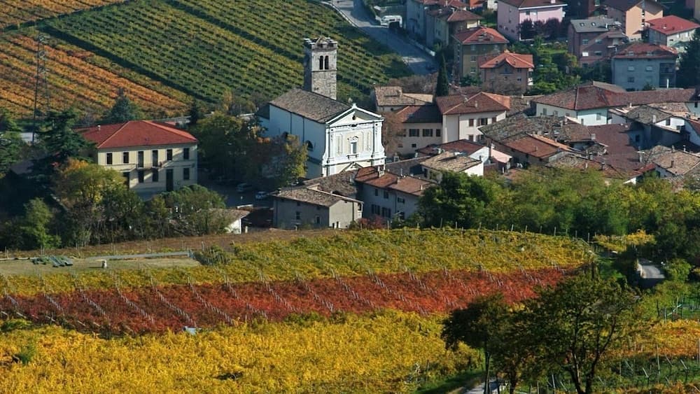 B&B Casa Toss bike and bikers