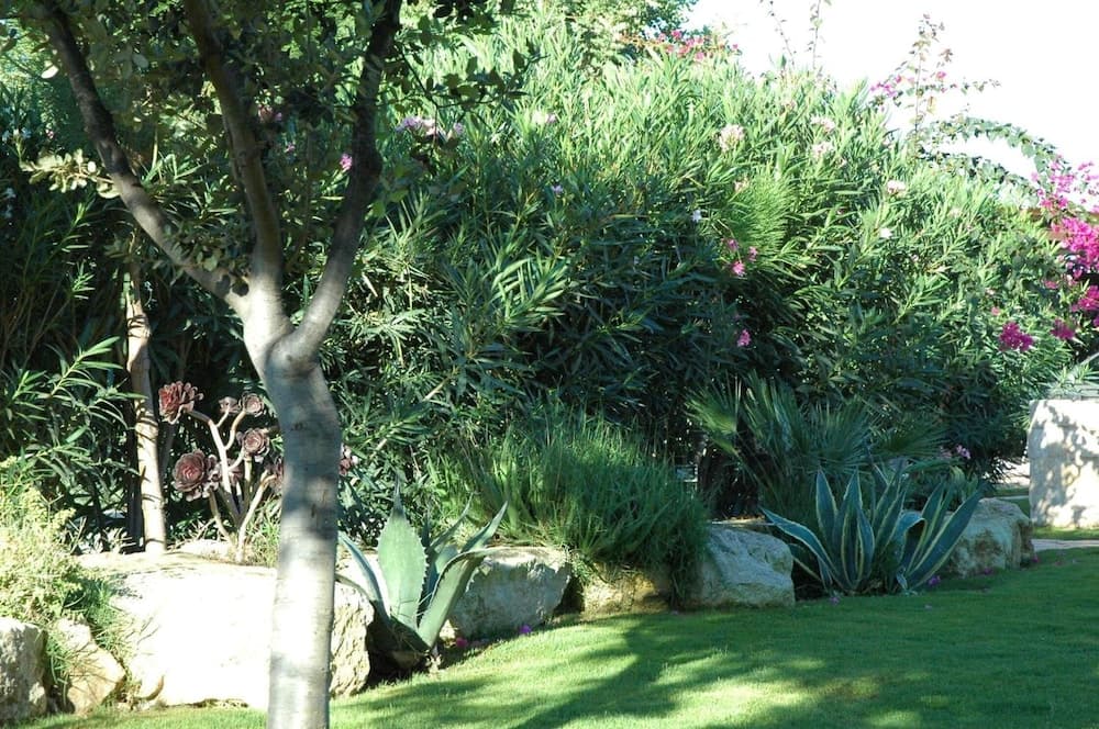 Konaklama yeri alanı