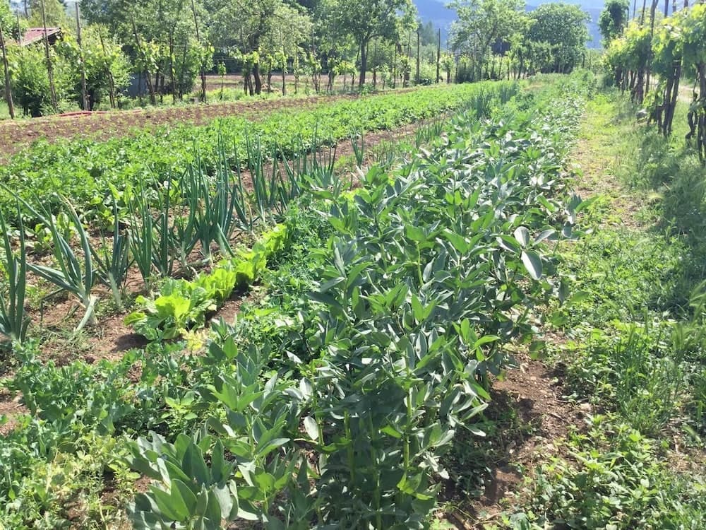 Konaklama yeri alanı