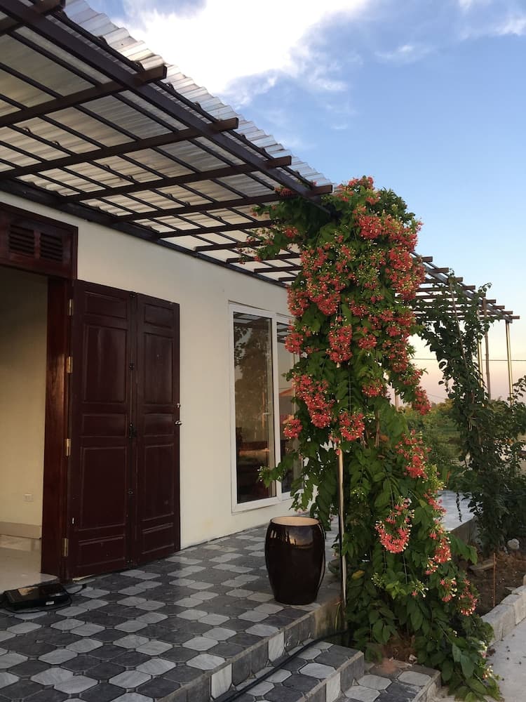 Lotus House
