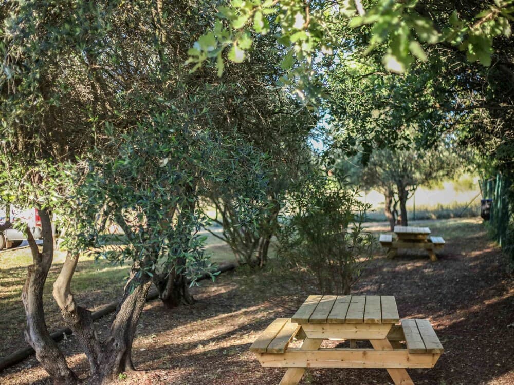 Barbekü/piknik alanı