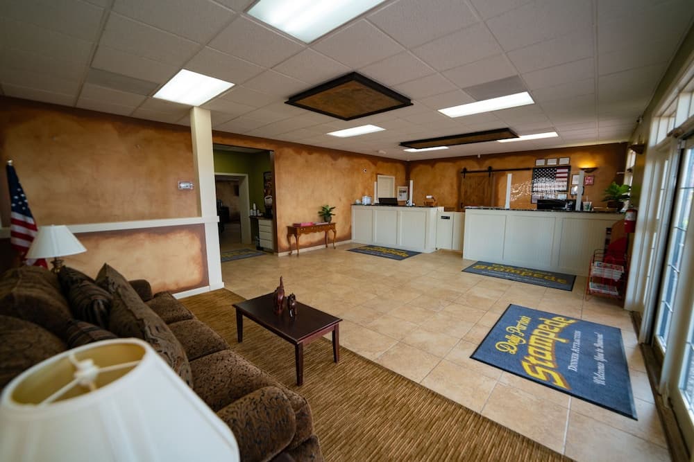 Giriş/çıkış büfesi