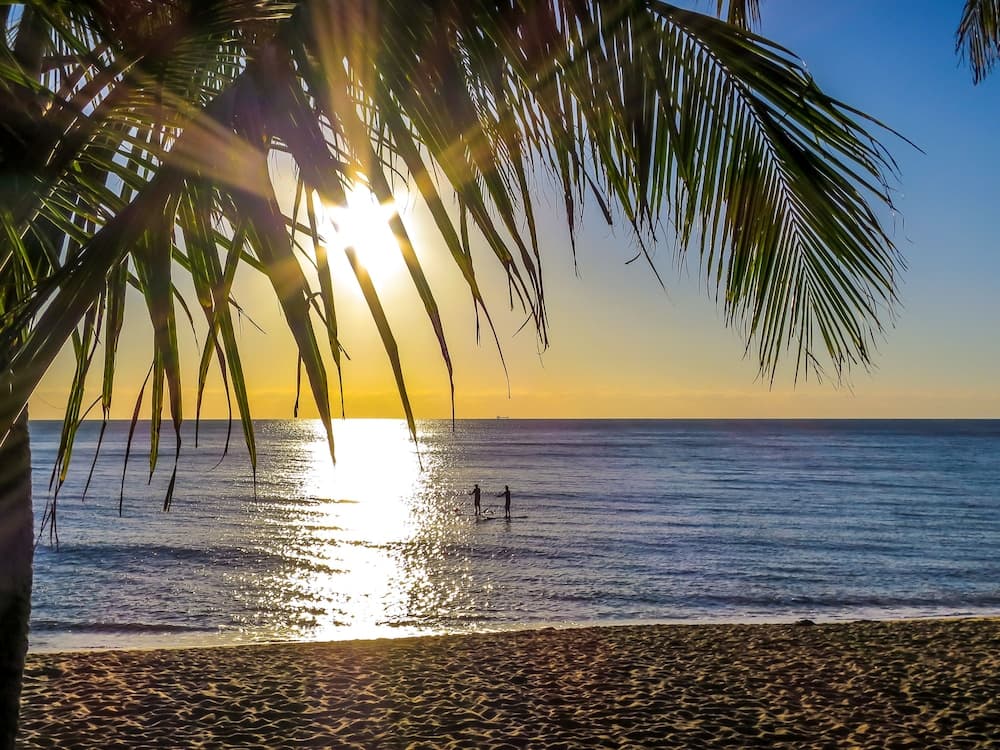 Roydon Beachfront Apartments