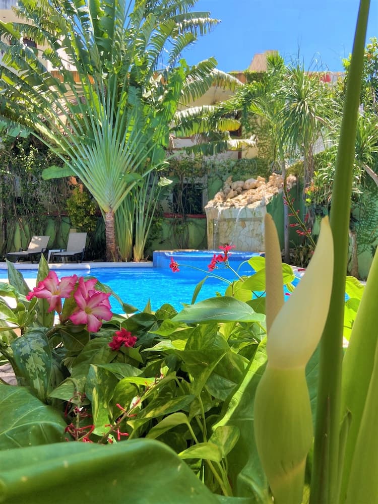 Hotel Lunasol