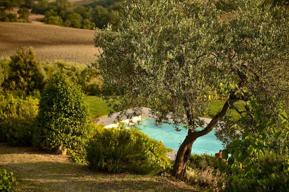 Quercia Rossa