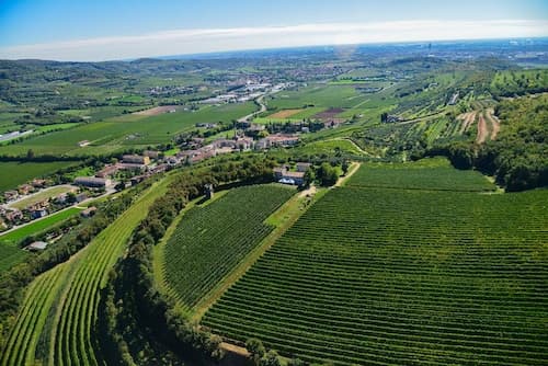 Tenuta Delo Relais